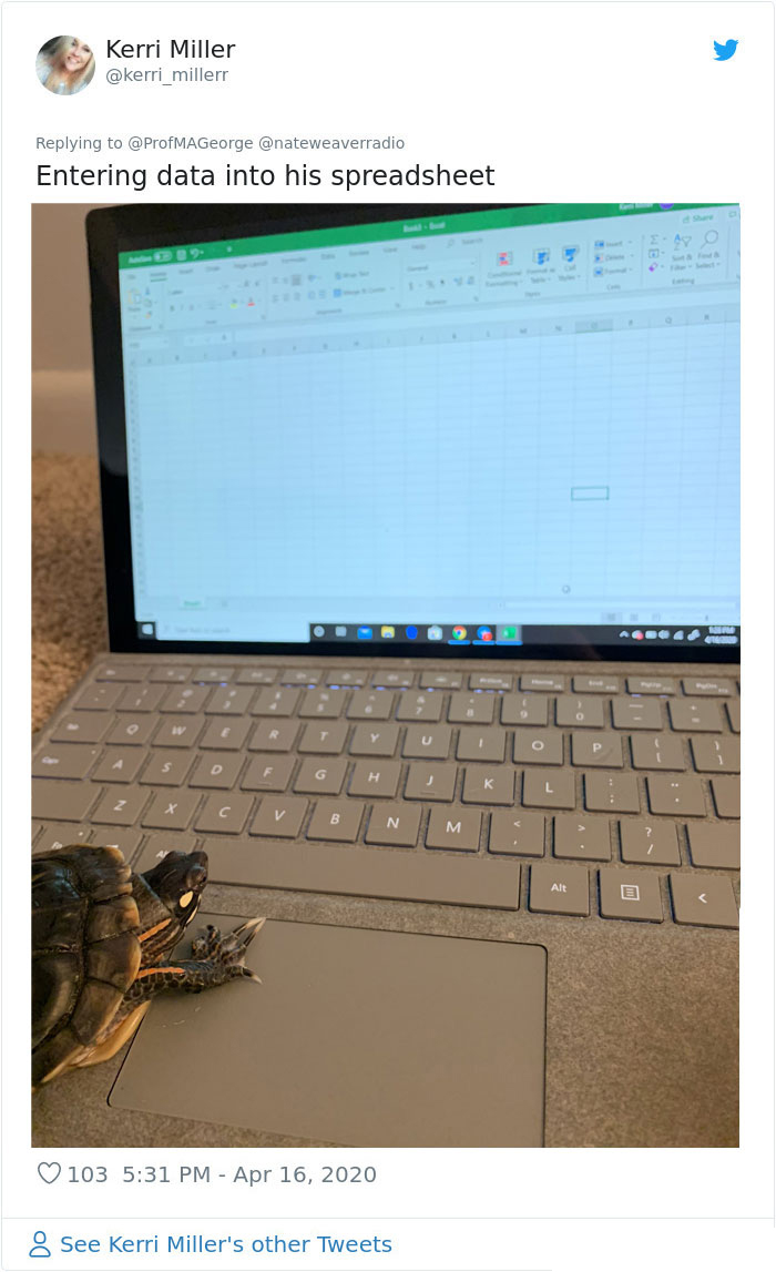students doing classwork with pet turtle