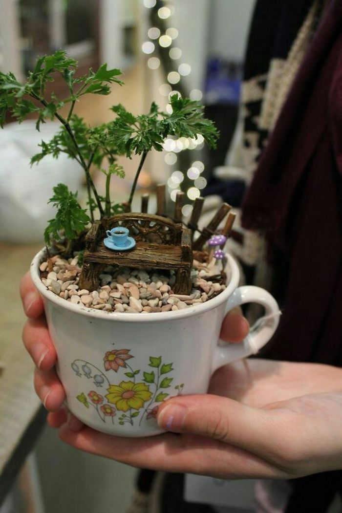 teacup gardens bench