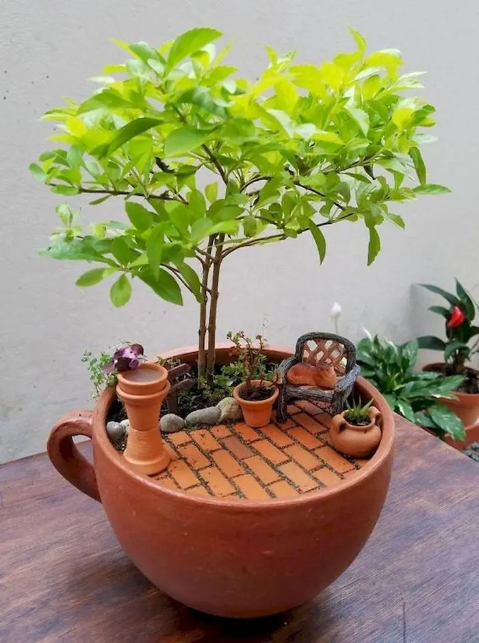 teacup gardens brown clay cup