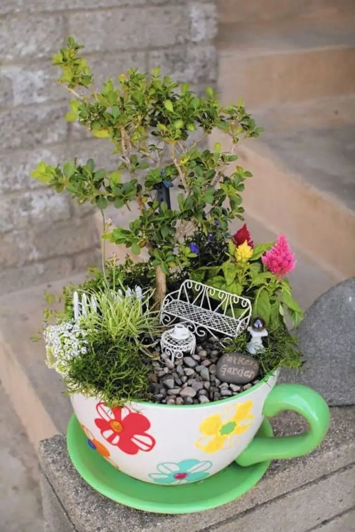 teacup gardens small plants