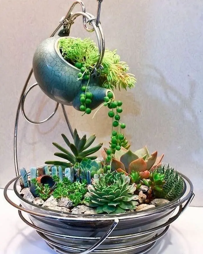 teacup gardens teapot