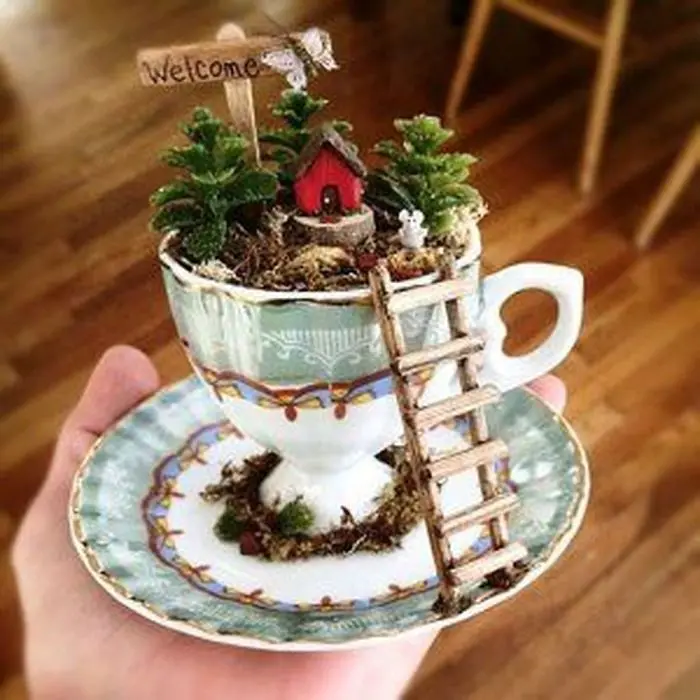 teacup gardens with ladder