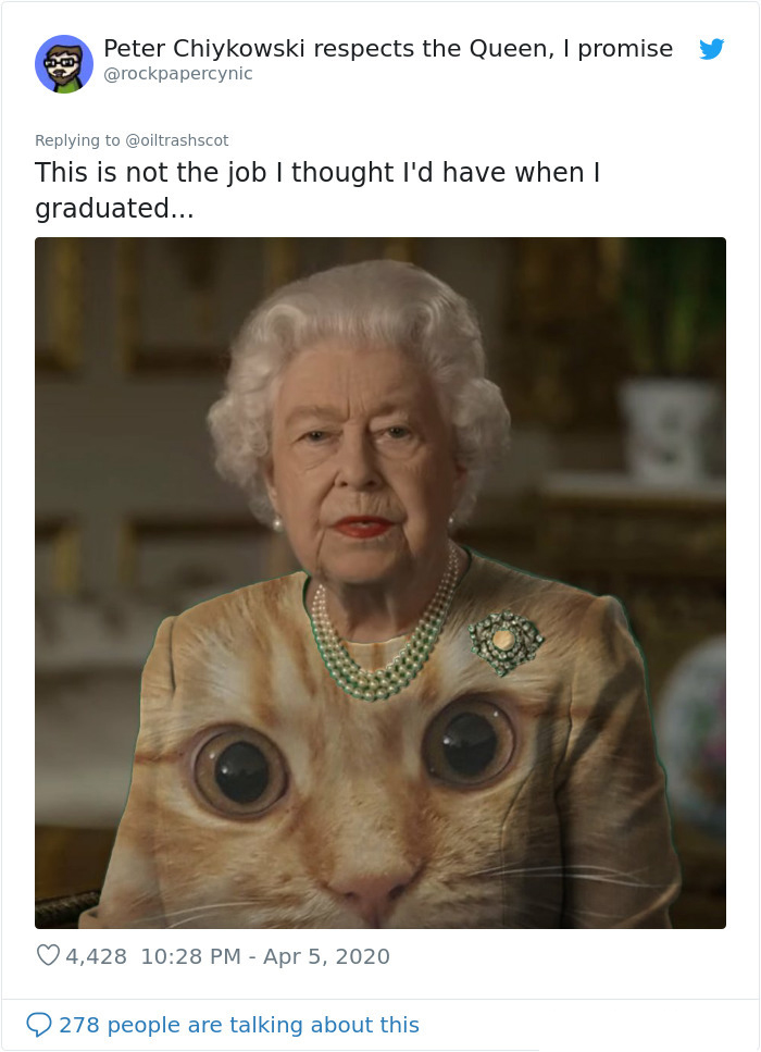 the queen of england memes cat eyes