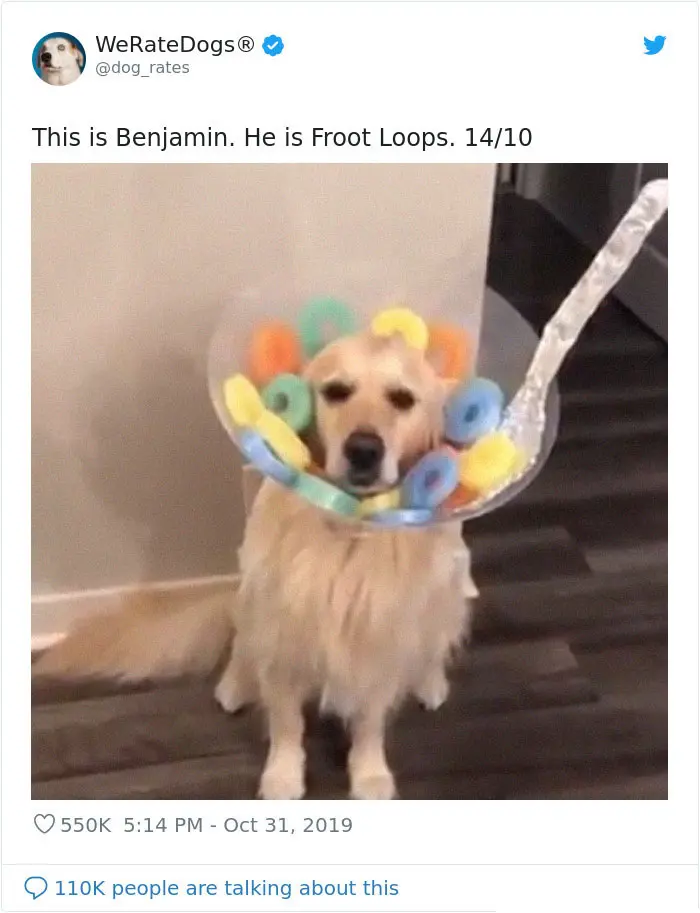 we rate dogs benjamin froot loops