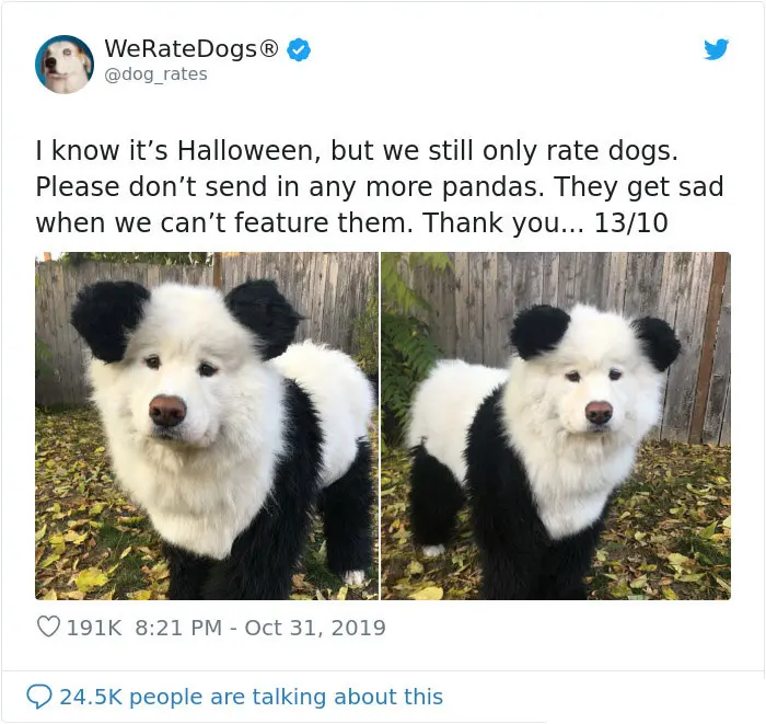 we rate dogs not panda