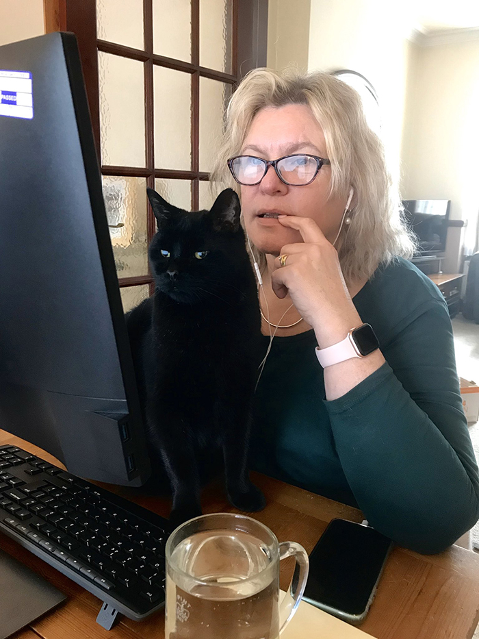 working from cat assistant