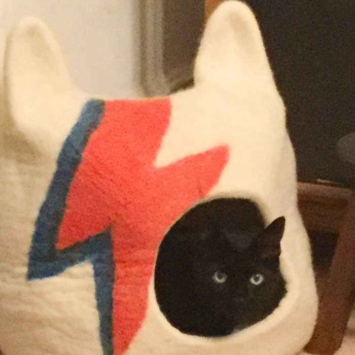 ziggy stardust-inspired cat bed felted wool