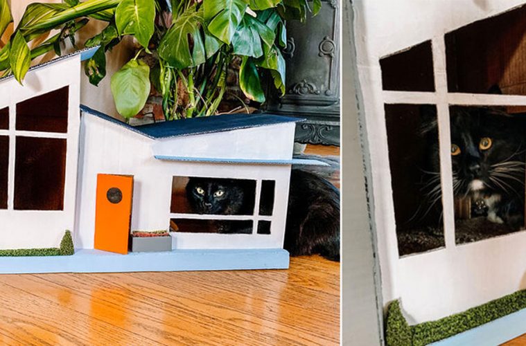 Cardboard cat house