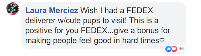 Laura Merciez Facebook Comment FedEx Driver with Dogs