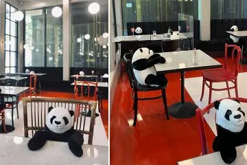 Maison Saigon pandas