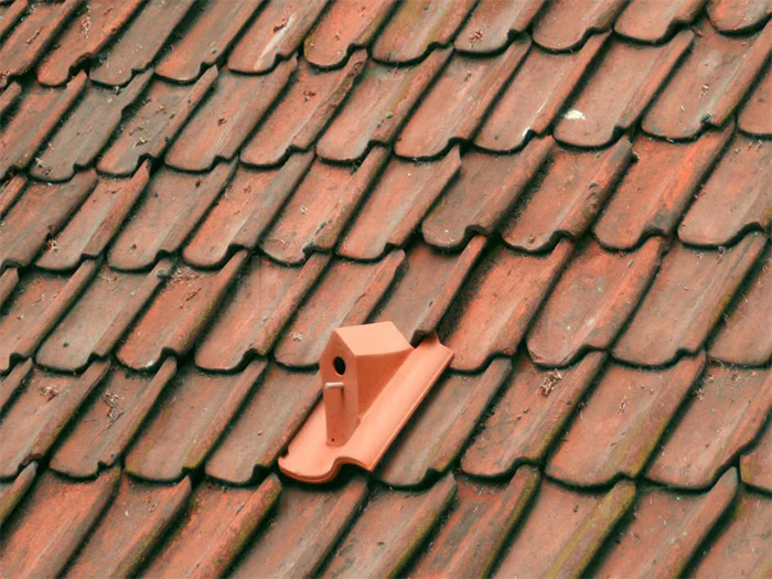 birdhouse roof tiles