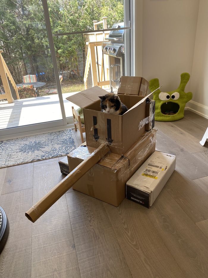 box military vehicle for cats