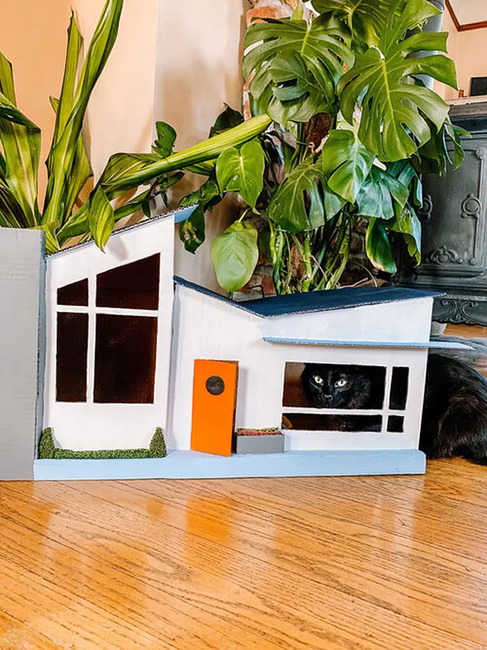 cardboard cat house