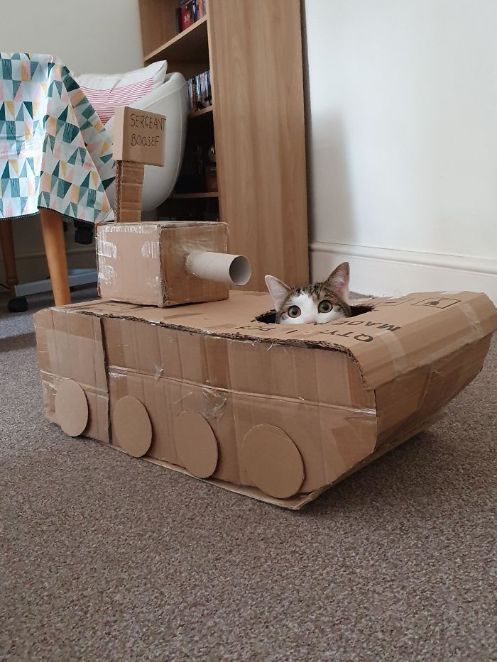 feline military vehicle made from boxes