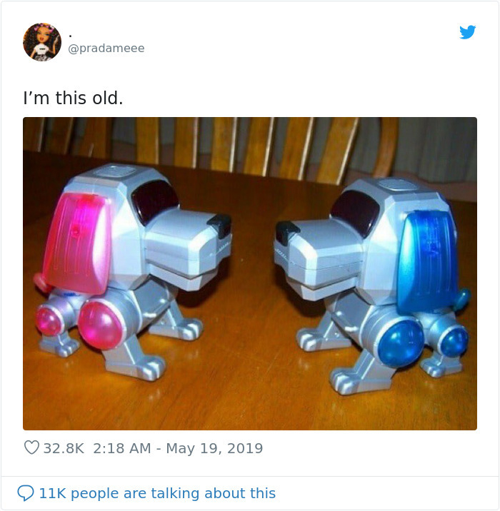 i am this old tweet idogs