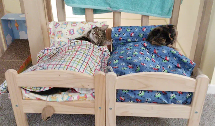 ikea doll beds used as mini beds for cats