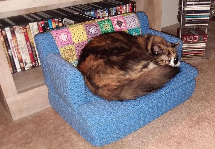 kitty lying on blue mini crocheted sofa
