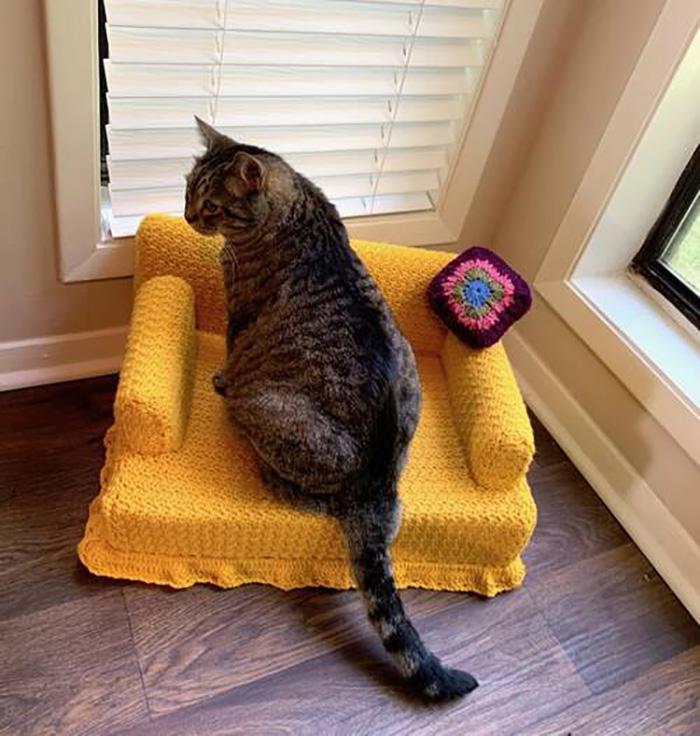 kitty sitting on yellow mini crocheted sofa
