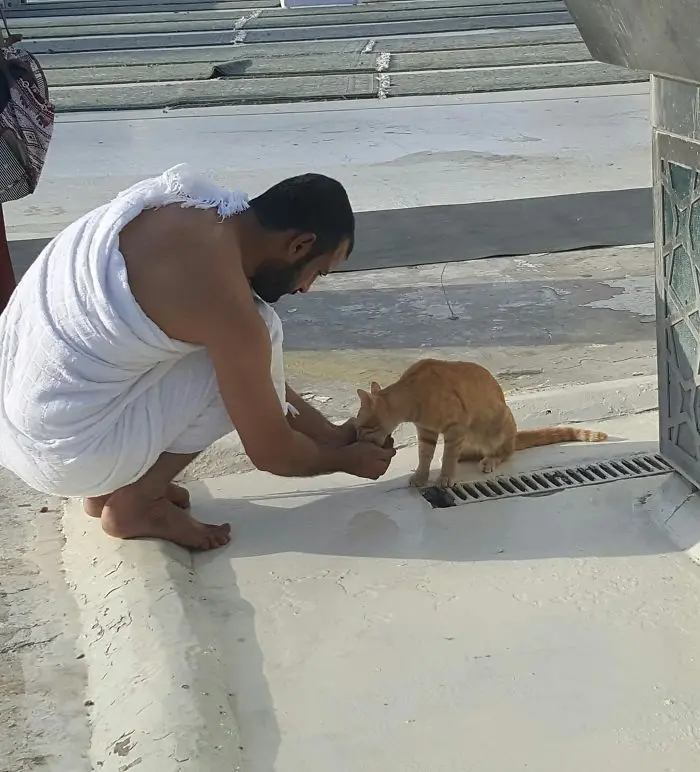 man lets cat drink water from his palm