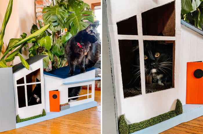 mid-century modern design cardboard cat house