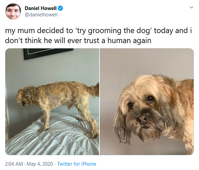 mom tries to groom pet fails