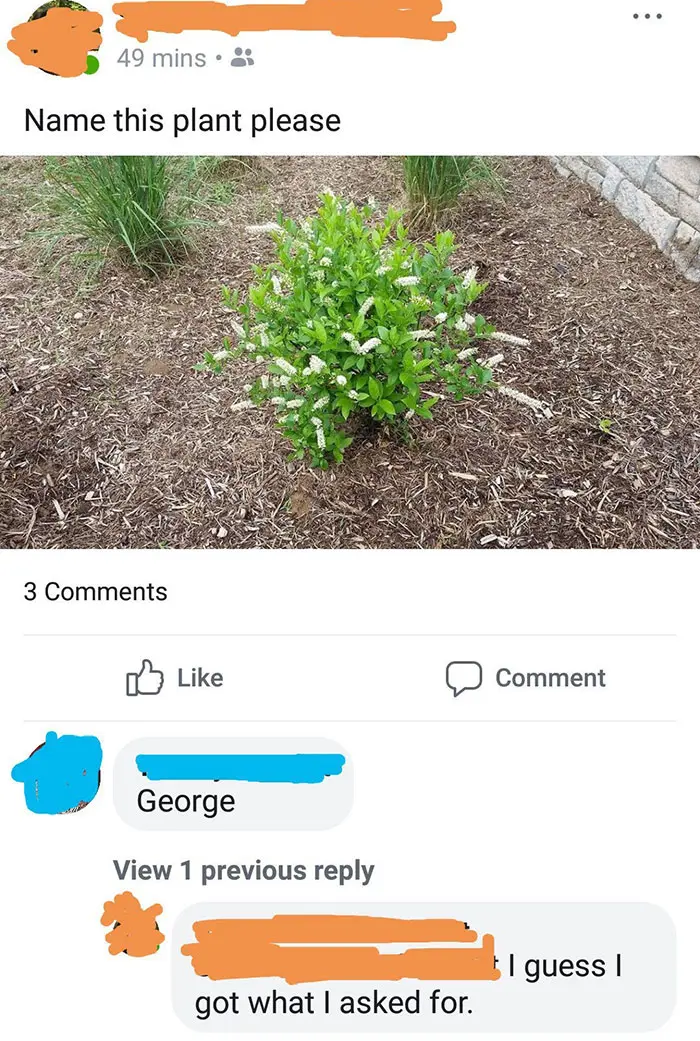 people take instructions literally name this plant