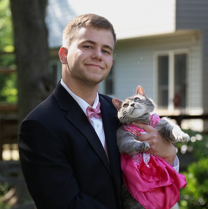 prom date kitty