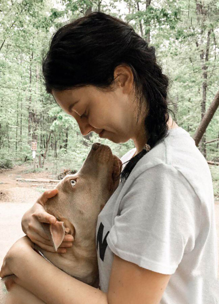 rescue dog lovingly stares at owner