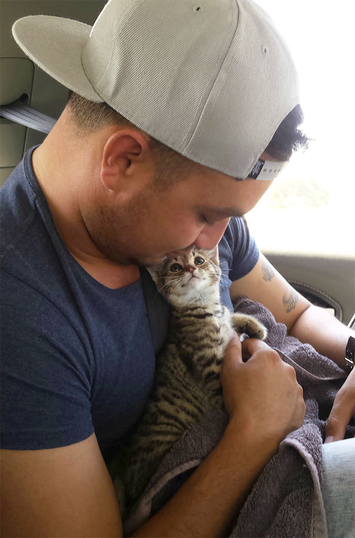 rescue kitten gives a loving gaze