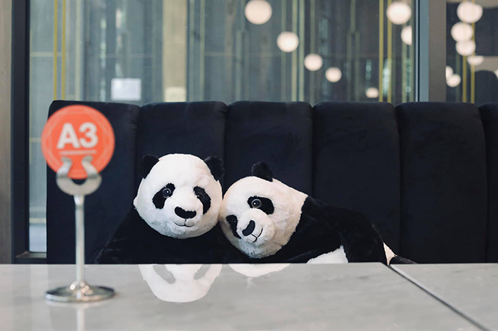 restaurant plush pandas keep company