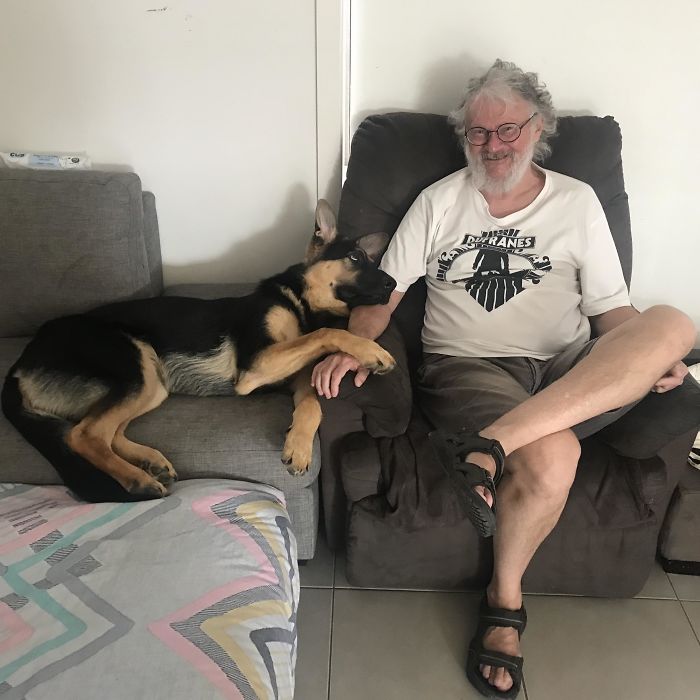 the way this dog looks at his dad