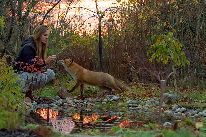 wildfox befriends a couple