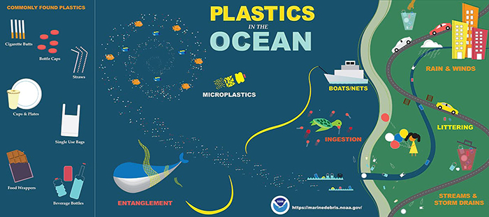 NOAA Plastics in the Ocean Infographic