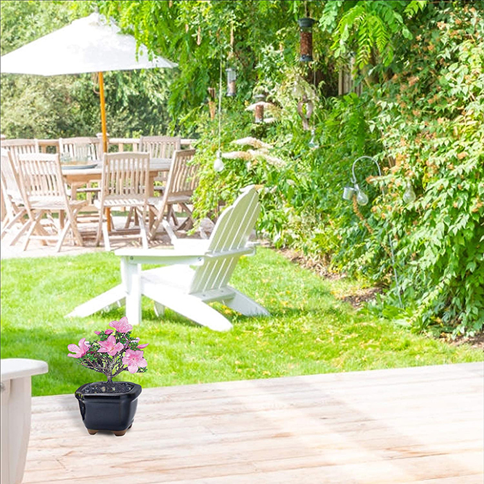 Outdoor Patio with Cherry Blossom Bonsai Tree in Pot