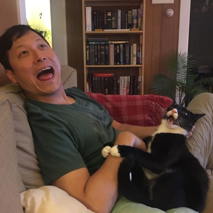 boyfriend and cat similar laughing face