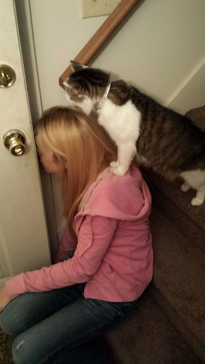 cat and woman watch a stray kitten eat food