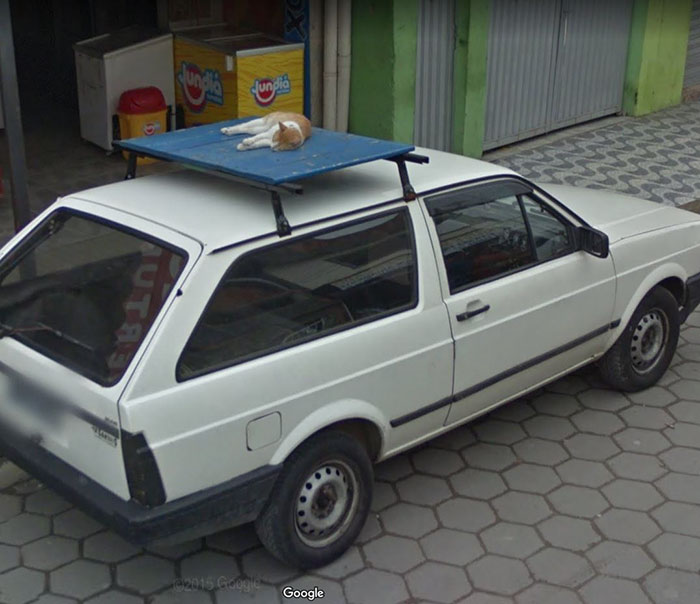 google street view cat napping on top of car