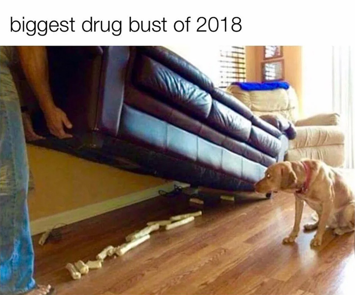 hilarious pet biggest drug bust of 2018