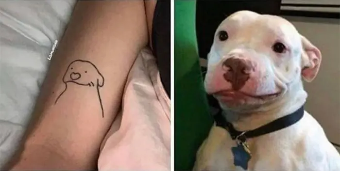 perfect tattoo canine edition