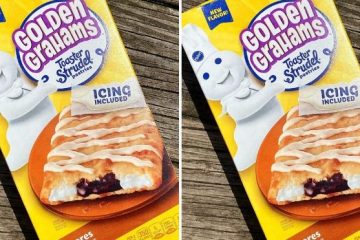 toaster strudel pastries