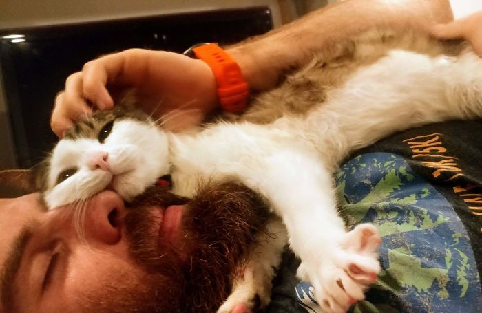 wholesome pet rescue photos feral cat