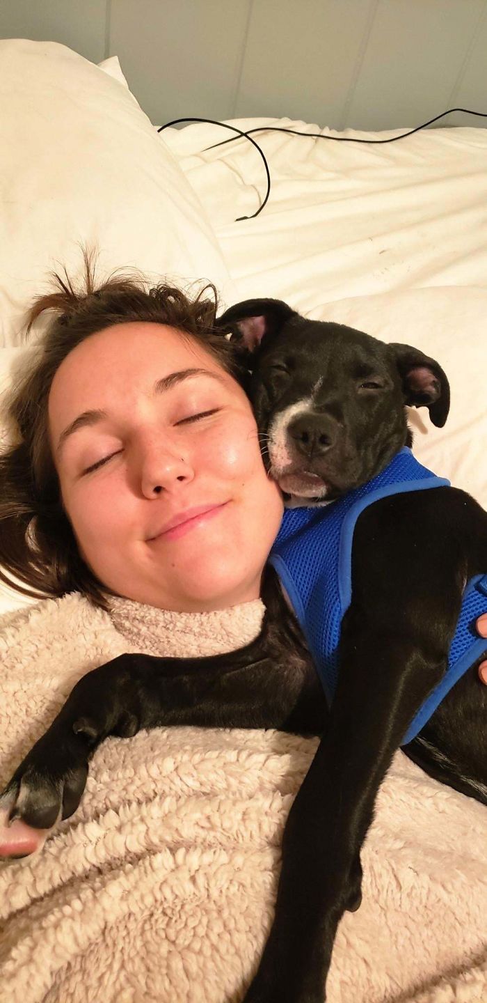 wholesome pet rescue photos puppy loves bedtime