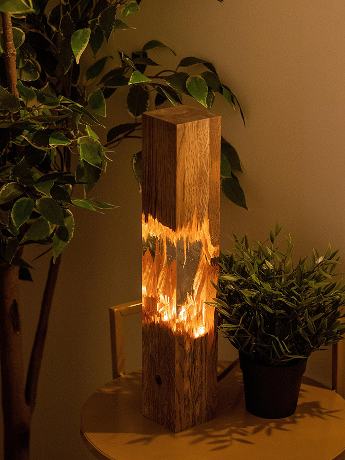 Epoxy Wooden Lamp and Houseplants on Table