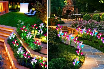 Solar-Powered Lily Flower lights