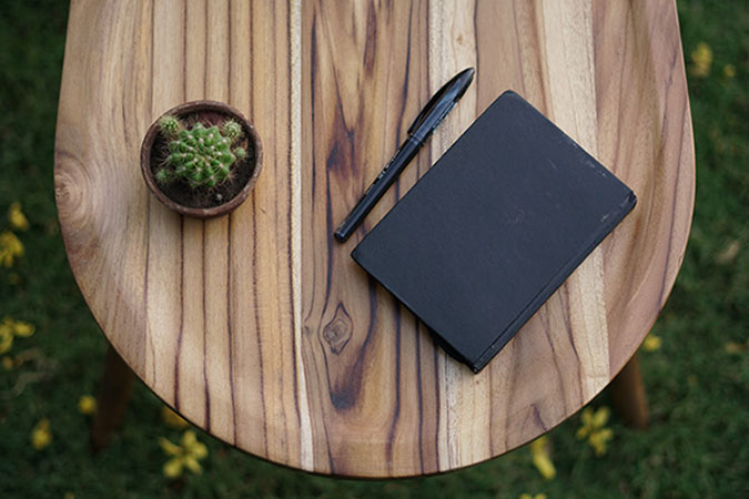 beetle-inspired coffee table wooden surface with notebook and potted plant