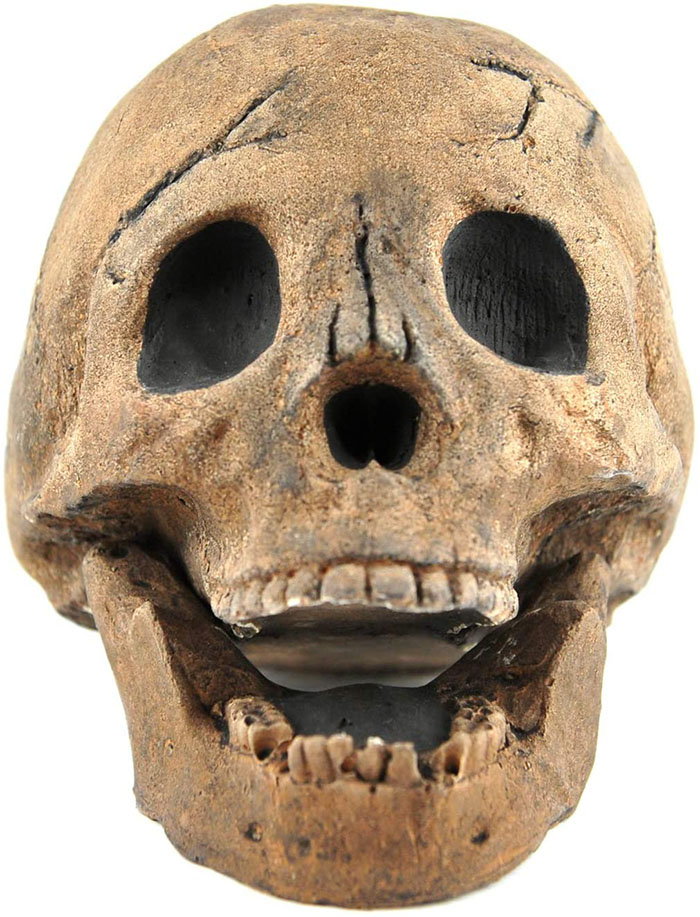 brown split jaw skull