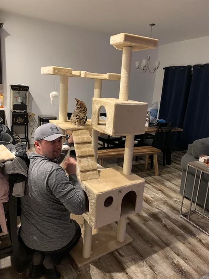 cat hater builds a cat condo