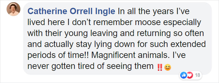 catherine orrell ingle facebook comment