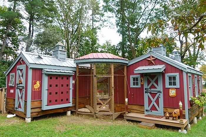 charming chicken coops pink paint