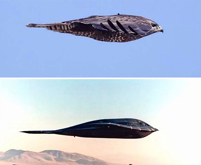 comparison images falcon vs stealth bomber